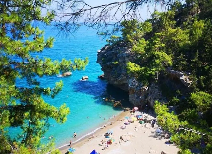 Pansiyon Bılge Pansıyon